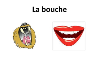 La bouche
 
