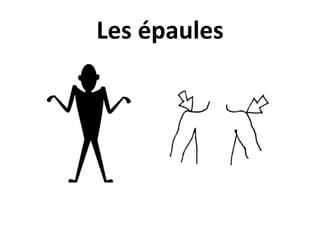 Les épaules
 