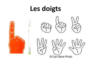 Les doigts
 
