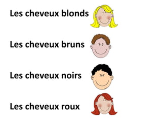 Les cheveux blonds
Les cheveux bruns
Les cheveux noirs
Les cheveux roux
 