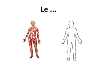 Le ...
 