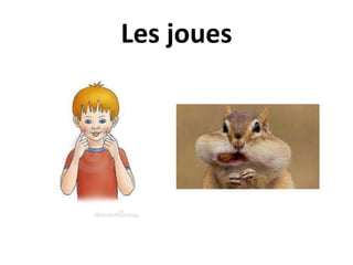 Les joues
 