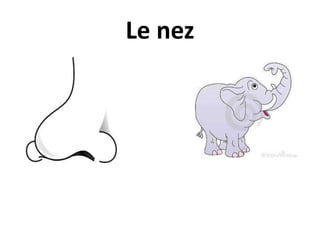 Le nez
 