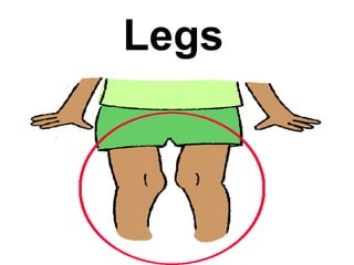 Body parts vocabulary | PPT