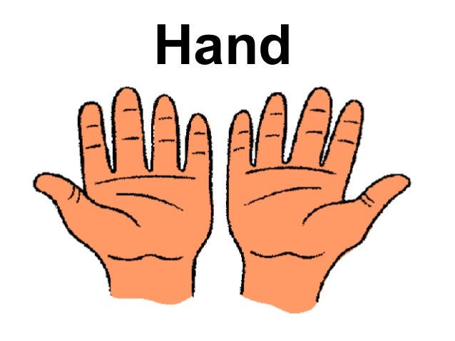 body parts vocabulary