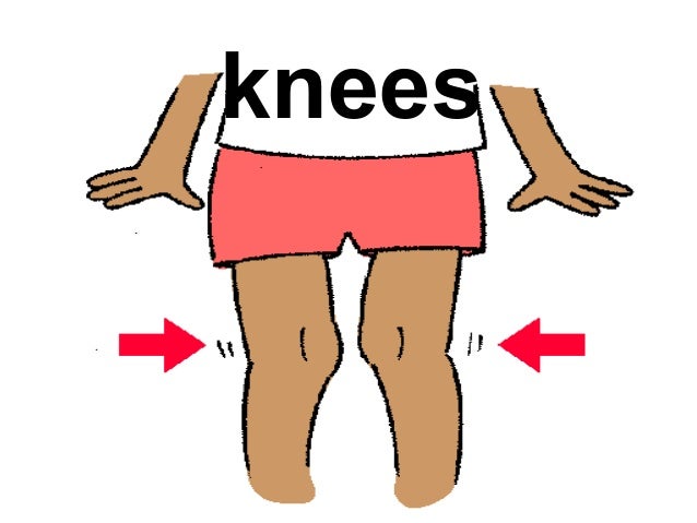 Картинка части тела для детей на прозрачном фоне