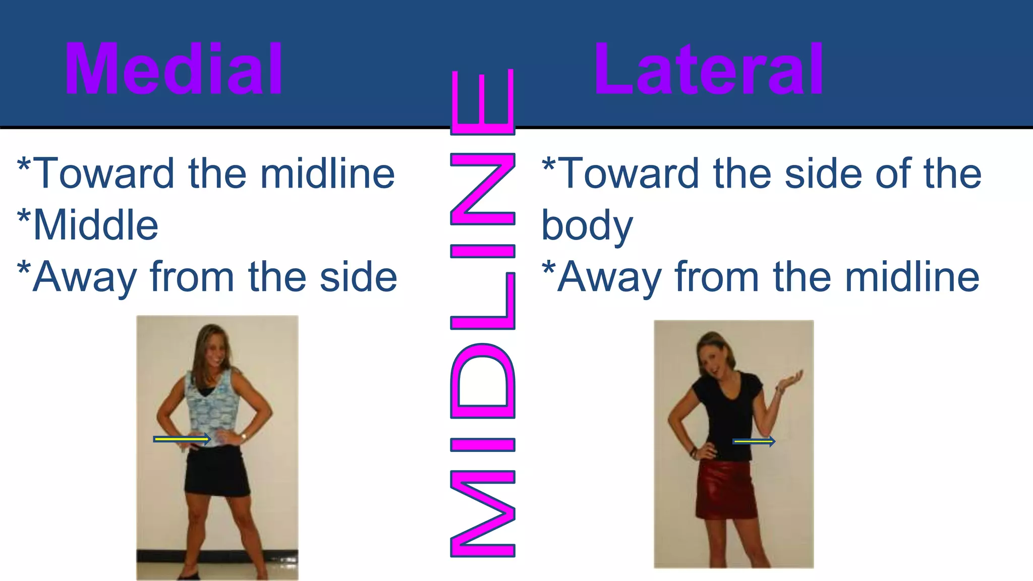 Medial Lateral
*Toward the midline
*Middle
*Away from the side
*Toward the side of the
body
*Away from the midline
 