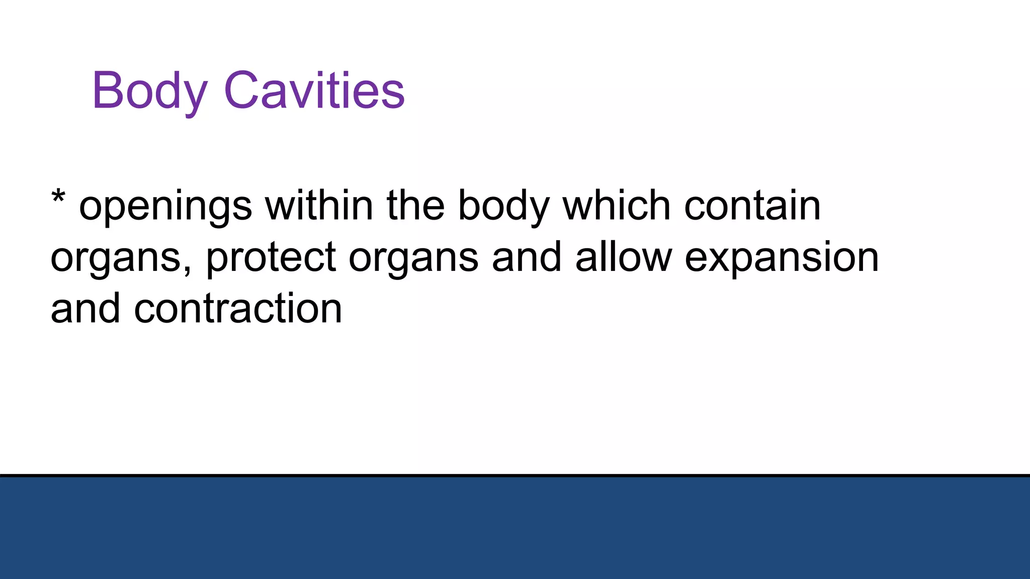 Body Cavities
* openings within the body which contain
organs, protect organs and allow expansion
and contraction
Body Cavities
 