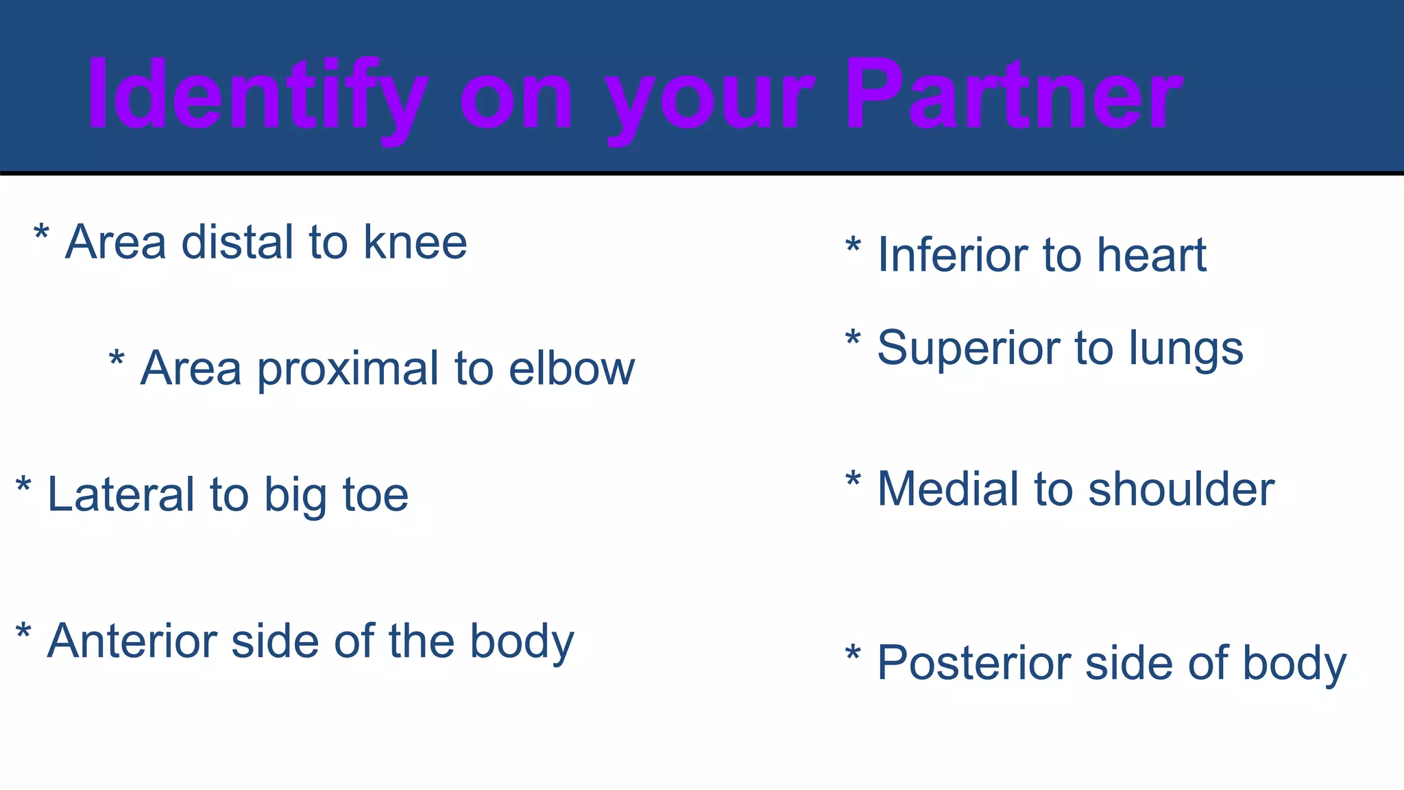 Identify on your Partner
* Area distal to knee
* Area proximal to elbow * Superior to lungs
* Medial to shoulder
* Inferior to heart
* Anterior side of the body * Posterior side of body
* Lateral to big toe
 