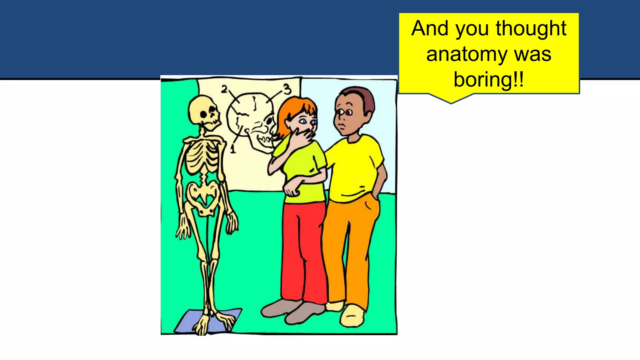 And you thought
anatomy was
boring!!
 