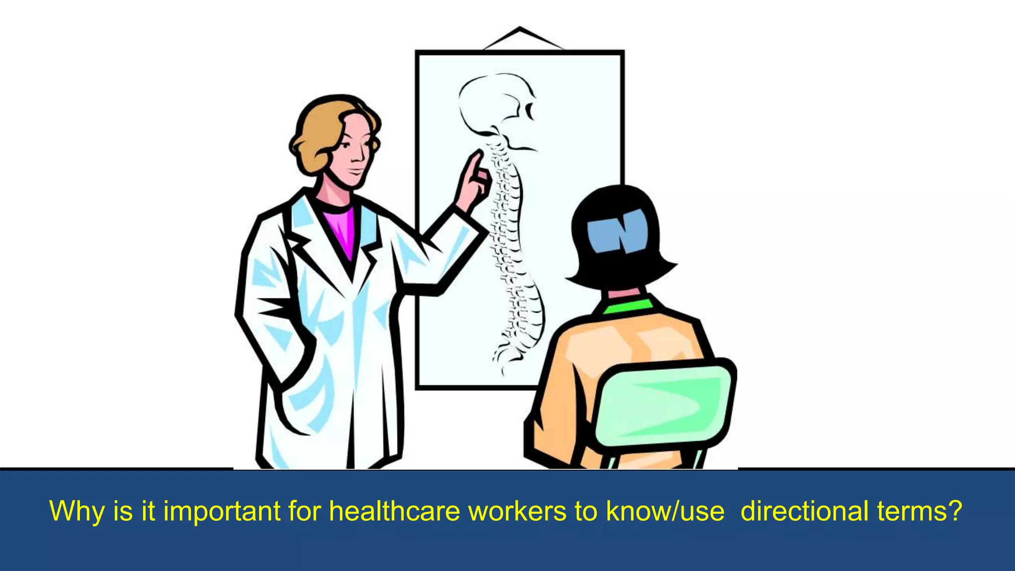 Why is it important for healthcare workers to know/use directional terms?
 