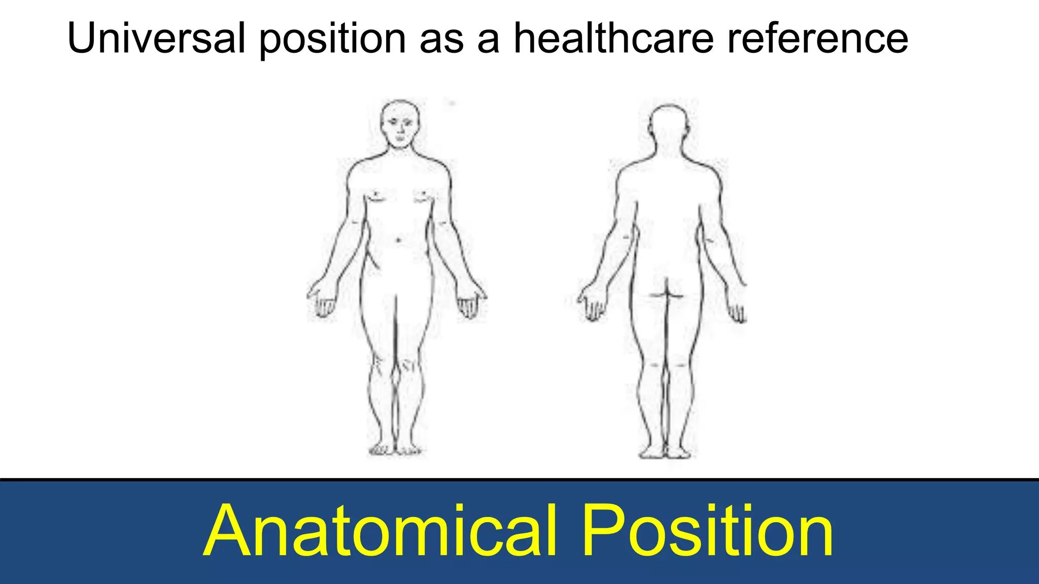 Anatomical Position
Universal position as a healthcare reference
 