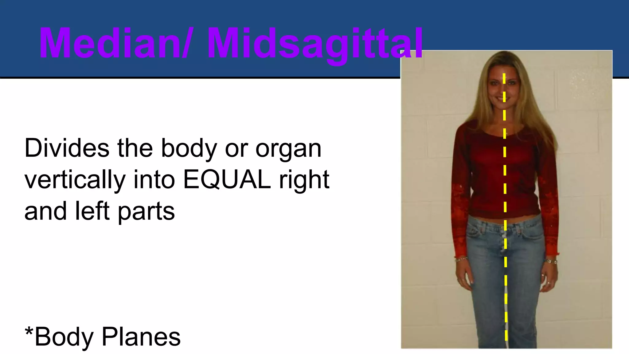 Median/ Midsagittal
Divides the body or organ
vertically into EQUAL right
and left parts
*Body Planes
 