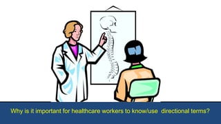 Why is it important for healthcare workers to know/use directional terms?
 