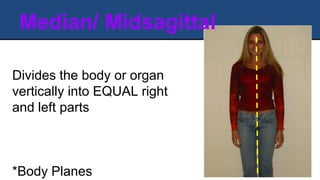 Median/ Midsagittal
Divides the body or organ
vertically into EQUAL right
and left parts
*Body Planes
 