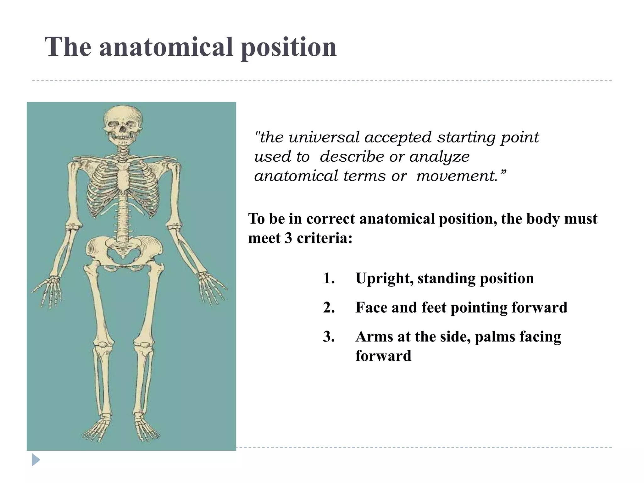 Body Planes movement, Positions and Direction.pptx