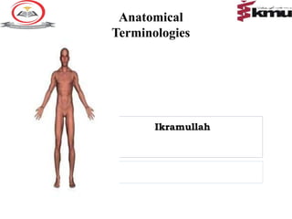 Anatomical
Terminologies
Ikramullah
 