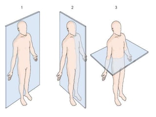 Medical Terminology - Body position | PPTX