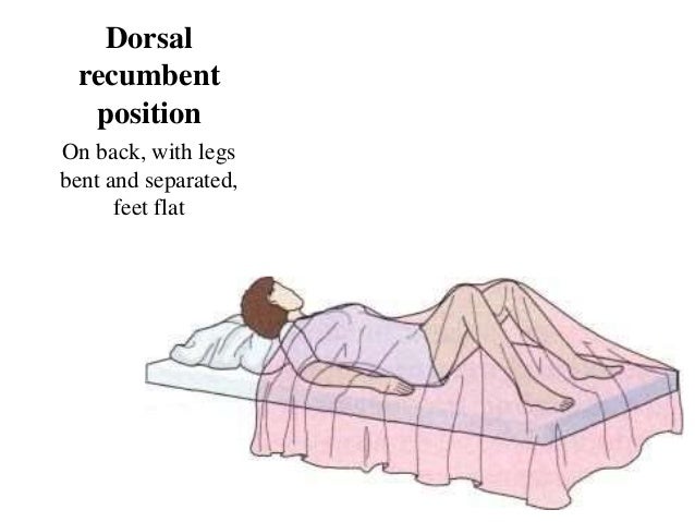 dorsal recumbent position dorsal recumbent position