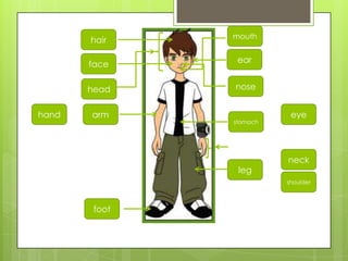 leg
arm
head
hand
nose
foot
hair
ear
stomach
mouth
eye
neck
face
shoulder
 