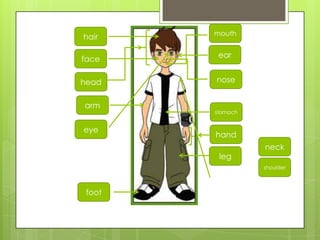 leg
arm
head
hand
nose
foot
hair
ear
stomach
mouth
eye
neck
face
shoulder
 