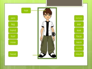 leg
arm
head
hand
nose
foot
hair
ear
stomach
mouth
eye
neck
face
shoulder
 