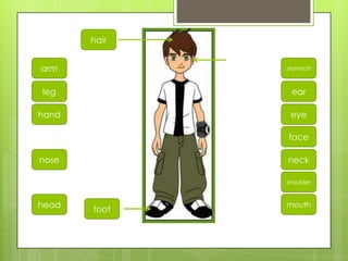 leg
arm
head
hand
nose
foot
hair
ear
stomach
mouth
eye
neck
face
shoulder
 