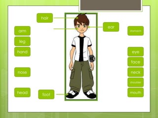 leg
arm
head
hand
nose
foot
hair
ear
stomach
mouth
eye
neck
face
shoulder
 