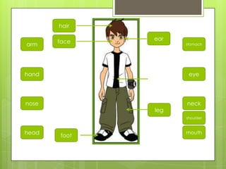 leg
arm
head
hand
nose
foot
hair
ear
stomach
mouth
eye
neck
face
shoulder
 