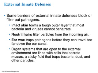 © 2016 Pearson Education, Inc.
External Innate Defenses
• Some barriers of external innate defenses block or
filter out pathogens.
• Intact skin forms a tough outer layer that most
bacteria and viruses cannot penetrate.
• Nostril hairs filter particles from the incoming air.
• Ear wax traps pathogens before they can travel too
far down the ear canal.
• Organ systems that are open to the external
environment are lined with cells that secrete
mucus, a sticky fluid that traps bacteria, dust, and
other particles.
 