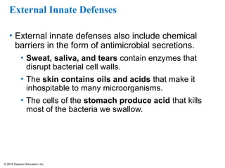 © 2016 Pearson Education, Inc.
External Innate Defenses
• External innate defenses also include chemical
barriers in the form of antimicrobial secretions.
• Sweat, saliva, and tears contain enzymes that
disrupt bacterial cell walls.
• The skin contains oils and acids that make it
inhospitable to many microorganisms.
• The cells of the stomach produce acid that kills
most of the bacteria we swallow.
 