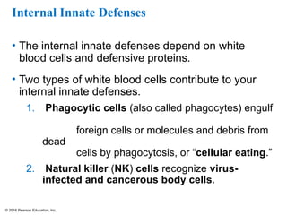 © 2016 Pearson Education, Inc.
Internal Innate Defenses
• The internal innate defenses depend on white
blood cells and defensive proteins.
• Two types of white blood cells contribute to your
internal innate defenses.
1. Phagocytic cells (also called phagocytes) engulf
foreign cells or molecules and debris from
dead
cells by phagocytosis, or “cellular eating.”
2. Natural killer (NK) cells recognize virus-
infected and cancerous body cells.
 