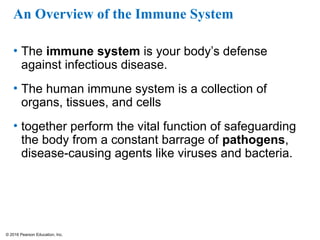© 2016 Pearson Education, Inc.
An Overview of the Immune System
• The immune system is your body’s defense
against infectious disease.
• The human immune system is a collection of
organs, tissues, and cells
• together perform the vital function of safeguarding
the body from a constant barrage of pathogens,
disease-causing agents like viruses and bacteria.
 