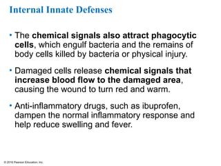 © 2016 Pearson Education, Inc.
Internal Innate Defenses
• The chemical signals also attract phagocytic
cells, which engulf bacteria and the remains of
body cells killed by bacteria or physical injury.
• Damaged cells release chemical signals that
increase blood flow to the damaged area,
causing the wound to turn red and warm.
• Anti-inflammatory drugs, such as ibuprofen,
dampen the normal inflammatory response and
help reduce swelling and fever.
 
