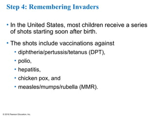 © 2016 Pearson Education, Inc.
Step 4: Remembering Invaders
• In the United States, most children receive a series
of shots starting soon after birth.
• The shots include vaccinations against
• diphtheria/pertussis/tetanus (DPT),
• polio,
• hepatitis,
• chicken pox, and
• measles/mumps/rubella (MMR).
 