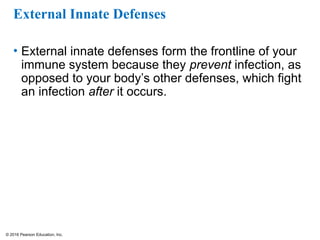 © 2016 Pearson Education, Inc.
External Innate Defenses
• External innate defenses form the frontline of your
immune system because they prevent infection, as
opposed to your body’s other defenses, which fight
an infection after it occurs.
 