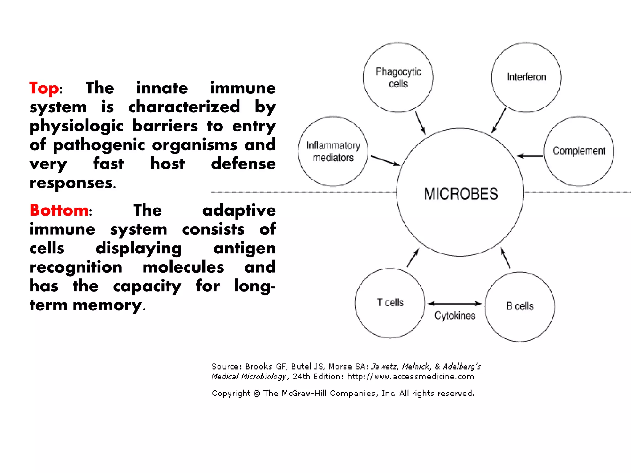 BODY’S DEFENSE MECHANISMS.pptx