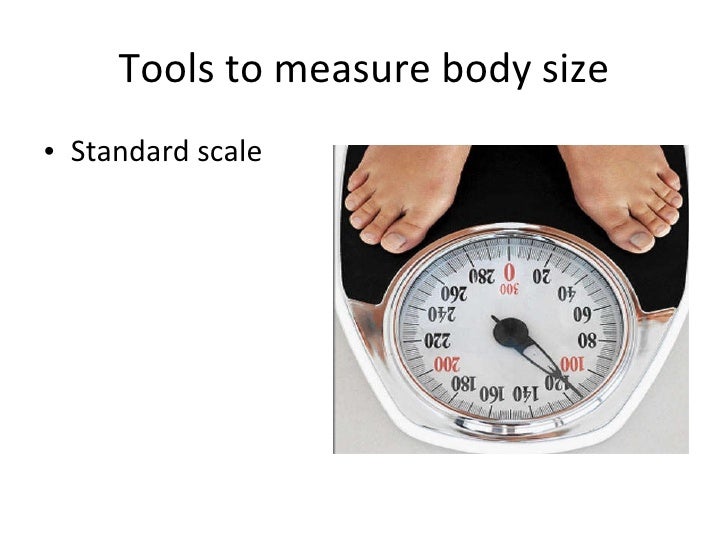 Body size and composition1