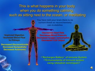 This is what happens in your body  when you do something calming,  such as sitting next to the ocean, or meditating Decreased Heart Rate Decreased Blood Pressure Decreased Oxygen consumption Decreased CO2 Output Improved Digestion Increased Blood Flow to Kidneys Decreased Glucocorticoids Decreased Sympathetic Decreased Autonomic “ Recharges Battery” of Immune System ?Enhancements of Immune system using relaxation techniques? You have told your brain there is no current threat so neurochemistry can re-stabilize 
