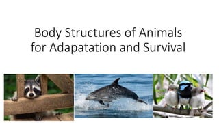 Body Structures of Animals
for Adapatation and Survival
 