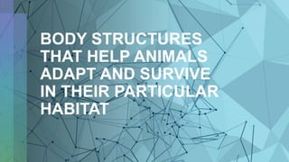 BODY STRUCTURES
THAT HELP ANIMALS
ADAPT AND SURVIVE
IN THEIR PARTICULAR
HABITAT
 