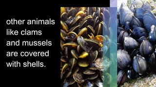 BODY STRUCTURES THAT HELP ANIMALS ADAPT AND SURVIVE .pptx