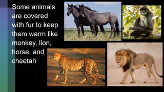 BODY STRUCTURES THAT HELP ANIMALS ADAPT AND SURVIVE .pptx