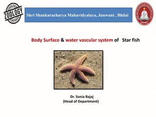 Shri Shankaracharya Mahavidyalaya, Junwani , Bhilai
Body Surface & water vascular system of Star fish
Dr. Sonia Bajaj
(Head of Department)
 