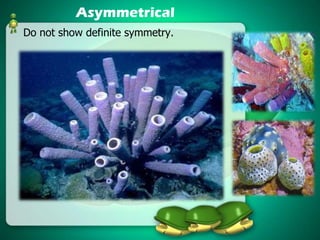 Asymmetrical
Do not show definite symmetry.

 