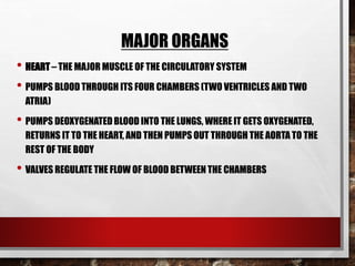MAJOR ORGANS
• HEART – THE MAJOR MUSCLE OF THE CIRCULATORY SYSTEM
• PUMPS BLOOD THROUGH ITS FOUR CHAMBERS (TWO VENTRICLES AND TWO
ATRIA)
• PUMPS DEOXYGENATED BLOOD INTO THE LUNGS, WHERE IT GETS OXYGENATED,
RETURNS IT TO THE HEART, AND THEN PUMPS OUT THROUGH THE AORTA TO THE
REST OF THE BODY
• VALVES REGULATE THE FLOW OF BLOOD BETWEEN THE CHAMBERS
 