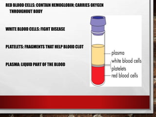 RED BLOOD CELLS: CONTAIN HEMOGLOBIN; CARRIES OXYGEN
THROUGHOUT BODY
WHITE BLOOD CELLS: FIGHT DISEASE
PLATELETS: FRAGMENTS THAT HELP BLOOD CLOT
PLASMA: LIQUID PART OF THE BLOOD
 