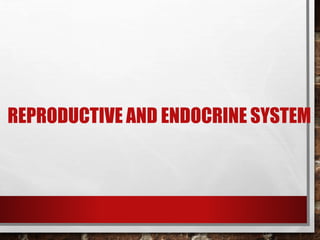REPRODUCTIVE AND ENDOCRINE SYSTEM
 
