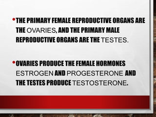 •THE PRIMARY FEMALE REPRODUCTIVE ORGANS ARE
THE OVARIES, AND THE PRIMARY MALE
REPRODUCTIVE ORGANS ARE THE TESTES.
•OVARIES PRODUCE THE FEMALE HORMONES
ESTROGEN AND PROGESTERONE AND
THE TESTES PRODUCE TESTOSTERONE.
 
