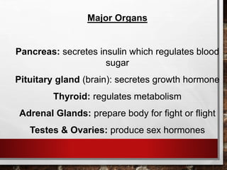 Major Organs
Pancreas: secretes insulin which regulates blood
sugar
Pituitary gland (brain): secretes growth hormone
Thyroid: regulates metabolism
Adrenal Glands: prepare body for fight or flight
Testes & Ovaries: produce sex hormones
 